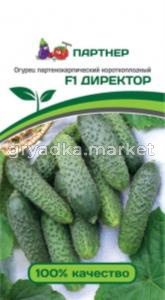Огурец Директор F1 5шт (Партнер)