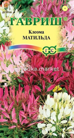 Клеома Матильда колючая 0,3г Гавриш