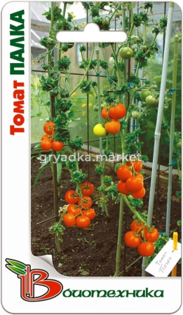 Томат Палка - Биотехника