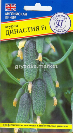 Огурец Династия F1 7шт. Престиж