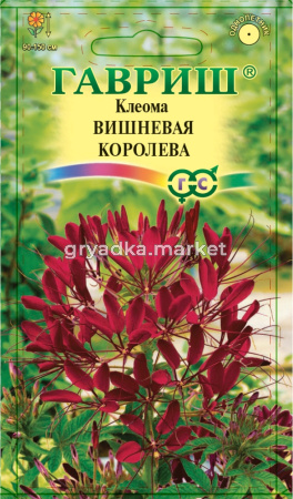 Клеома Вишневая королева 0,3г Гавриш