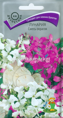 Лунария Смесь окрасок 0,2г -сухоцвет для зим.букетов- Поиск