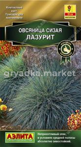 Овсяница сизая Лазурит (Аэлита)