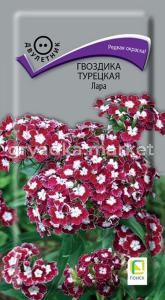 Гвоздика турецкая Лара 0,3г Дв 50см (Поиск)