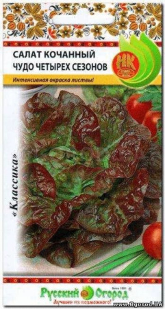 Салат Чудо 4-х сезонов кочан 2г НК