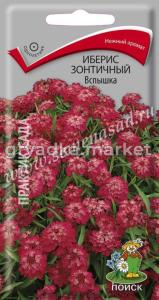 Иберис Вспышка 0,3г.Поиск