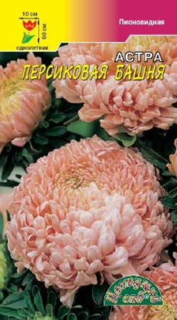 Астра Башня Персиковая пионов.0,3г.Цвет.сад.