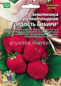 Земляника Гордость сибири крупноплодная (УД)