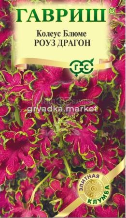Колеус Роуз Драгон* 4шт Мн 50см (Гавриш) Элитная клумба Н26