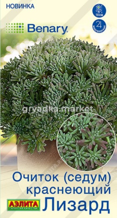 Очиток (Седум) краснеющий Лизард 5шт Мн 15см (Аэлита)