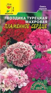 Гвоздика турецкая Пламенное сердце, махр.смесь Цвет.Сад