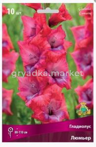 Гладиолус крупноцветковый Люмьер (ярко-розово-малиновый с нежно-лиловым пятном, 10шт, 110см,10-12)