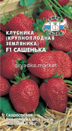 Земляника (клубника) Сашенька F1 0,04г.(Седек)