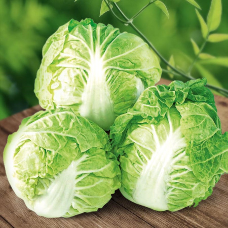 Капуста пекинская Пленти F1 16шт Ср (Сады России)