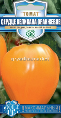 Томат Сердце Великана оранжевое 0,05г Индет Ср (Гавриш) Русский богатырь