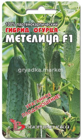 Огурец Метелица F1 - Биотехника