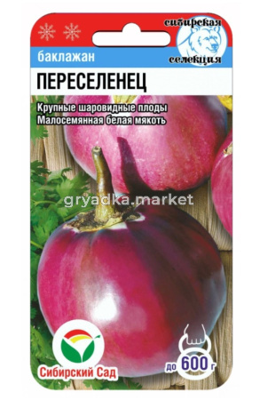 Баклажан Переселенец 20шт (Сиб сад)