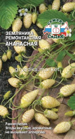 Земляника Ананасная 0,04гр. (Седек)
