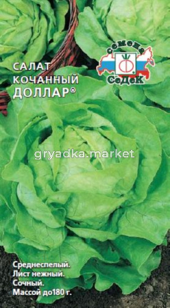 Салат Доллар (кочан) (Седек)