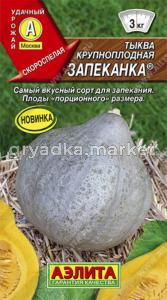 Тыква Запеканка ® крупноплодная (Аэлита)