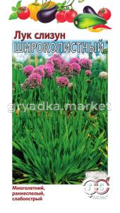 Лук слизун Широколистный 0,5г. Гавриш