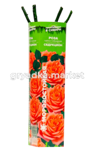 Скриншот 27-03-2025 144248-Photoroom