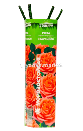 Скриншот 27-03-2025 144248-Photoroom