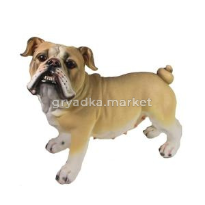 Английский бульдог L30 W18 H28 см