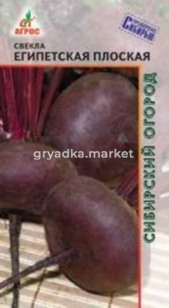 Свекла Египетская плоская 2г (Агрос) Германия