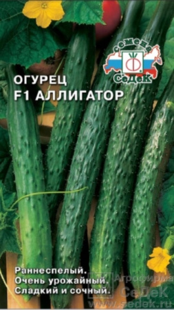 Огурец Аллигатор  2 F1  Седек Огурец Аллигатор  2 F1  Седек