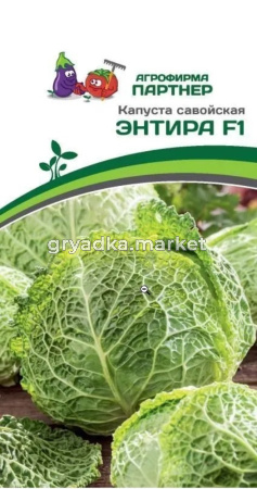 Капуста савойская Энтира F1 0,05г Позд (УД)