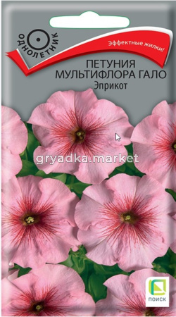 Петуния Гало Эприкот мультифлора 10шт Одн 30см (Поиск)