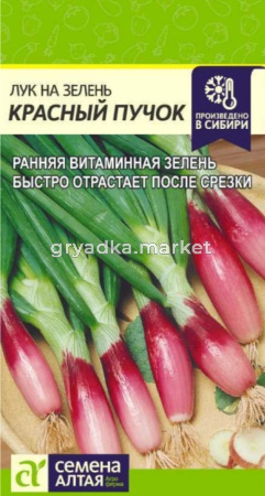 Лук на зелень Красный Пучок 0,3г Ранн (Сем Алт)