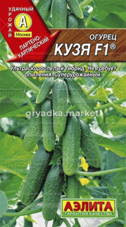 Огурец Кузя F1 10шт.Аэлита