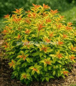 Скриншот 21-04-2026 151112