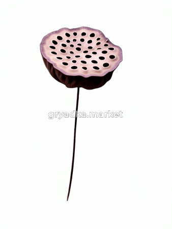 1677