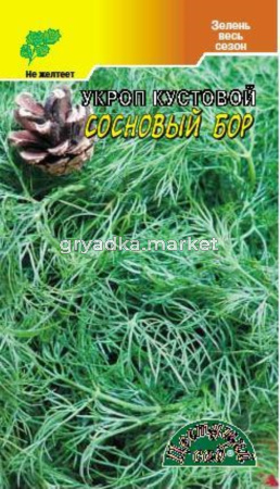 Укроп Сосновый бор Цвет сад
