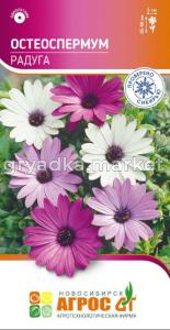Остеоспермум Радуга 0,1г Одн 30см (Агрос)