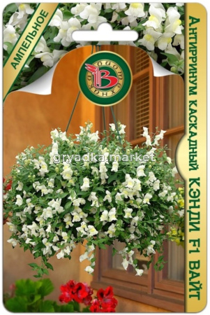 Антирринум (Львиный зев) Кэнди F1 Вайт каскад 20шт Одн 30см (Биотехника)