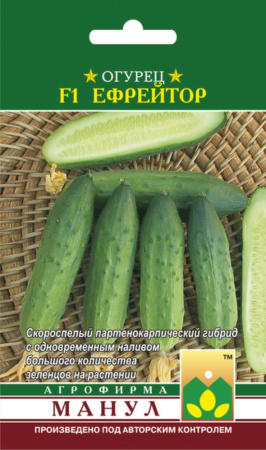 Огурец Ефрейтор F1,Парт,урож,универс. Манул