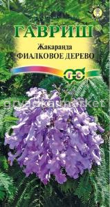 Жакаранда Фиалковое дерево 3шт.Н15 Гавриш