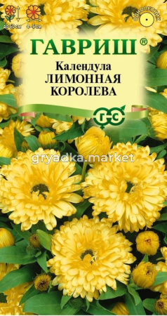 Календула Лимонная королева  0,3г Одн 50см (Гавриш) Н23