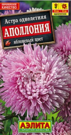Астра Аполлония яблоневый цвет (Аэлита)