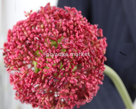 Искусственные цветы Лук декоративный в ассотр.