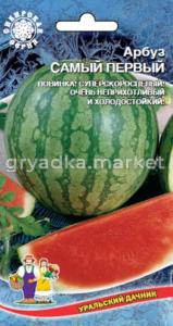 Арбуз Самый первый,ультраскор.(УД) ЧСС