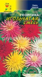 Георгина Игольчатая смесь Цвет.Сад