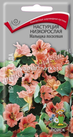 Настурция Малышка лососевая низк. (ЦВ) (