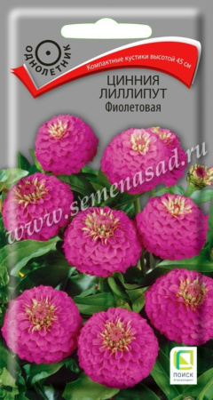 Цинния Фиолетовая лиллипут 0,4г (Поиск)
