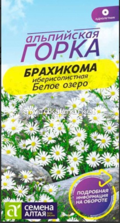Брахикома Белое озеро 0,05г (Сем Алт) Альпийская горка