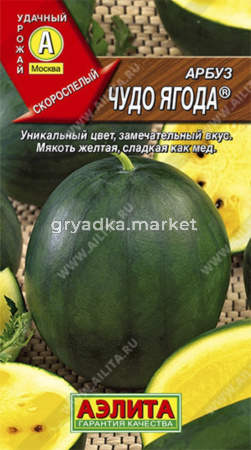 Арбуз Чудо ягода -скороспел- (Аэлита)